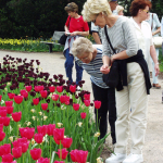 Besucherinnen im Park