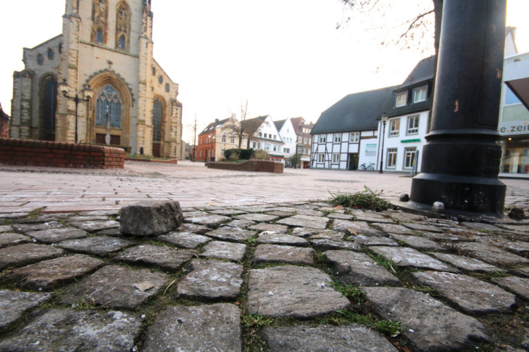 Holla die Waldfee… in Oeldes politischer Welt ist der Wurm drin