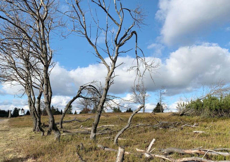 Klimaschutz bleibt in Oelde ein Lippenbekenntnis!