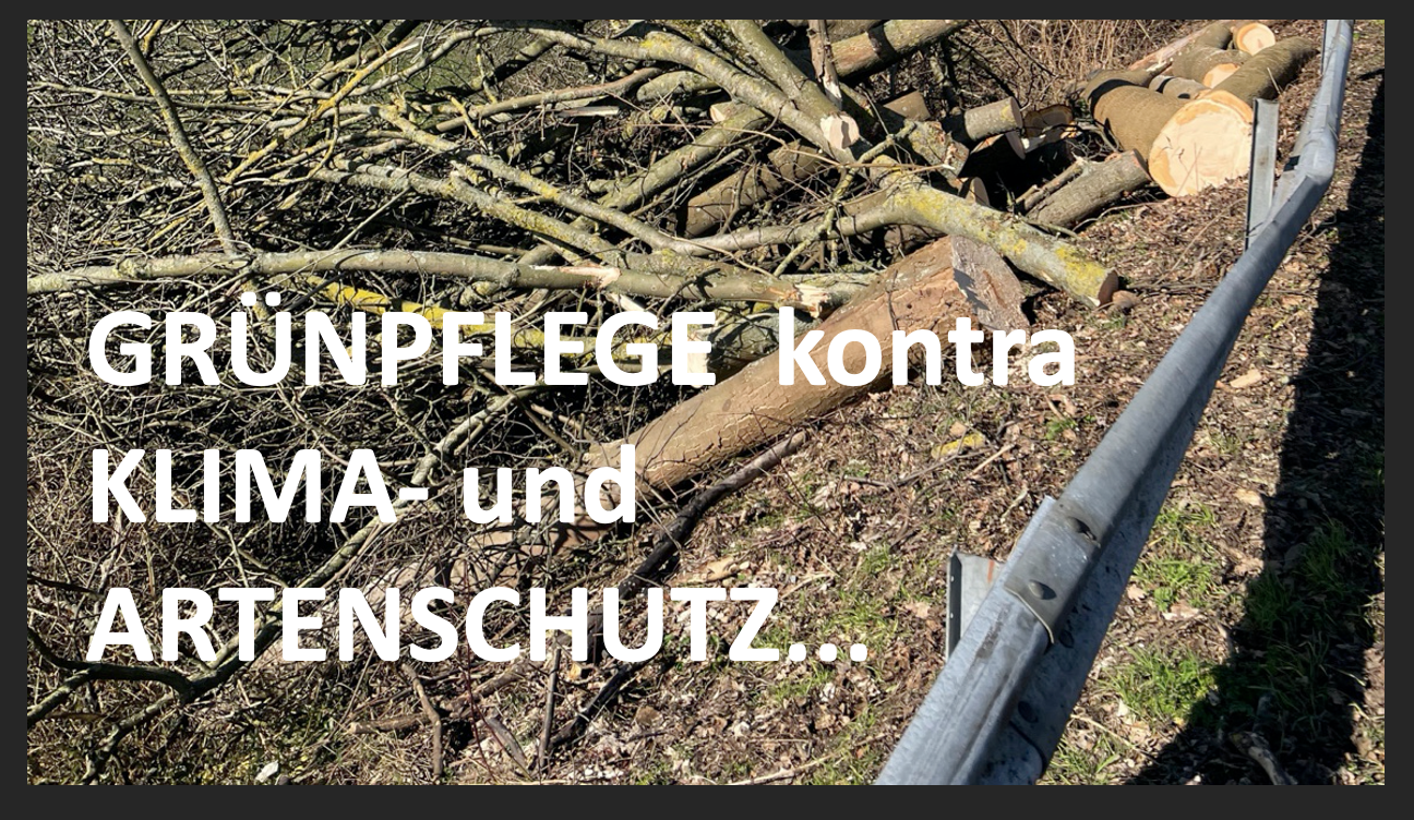 Gehoelzpflege kontra Klimaschutz